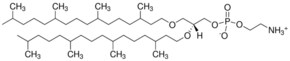 Merck 4ME 16:0 DIETHER PE
