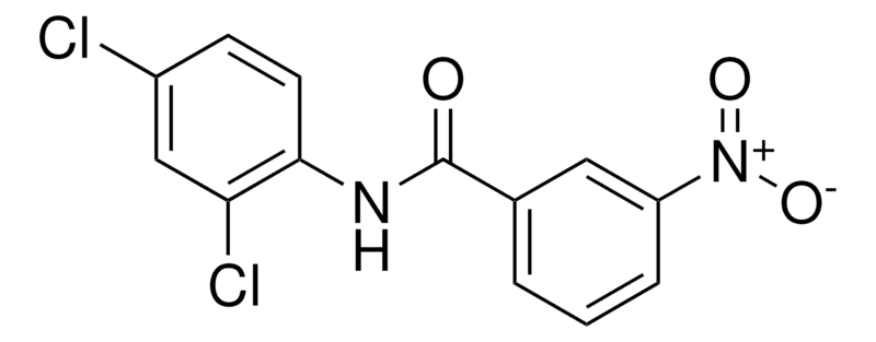 Merck N-(2,4-DICHLOROPHENYL)-3-NITROBE-