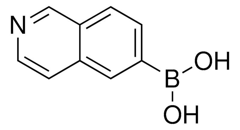 Merck isoquinoline-6-boronic acid