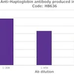 Merck RABBIT ANTI-HUMAN HAPTOGLOBIN-IGG FRACTI