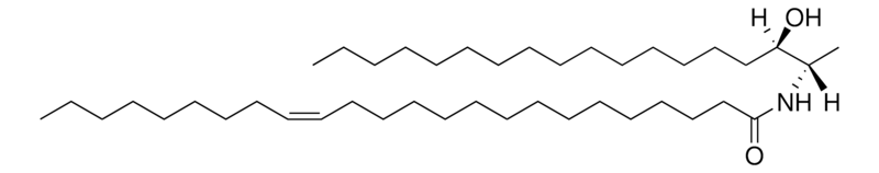 Merck N-C24:1-deoxysphinganine