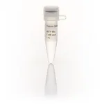 Thermo Fisher Scientific dNTP Mix (2 mM each), 1 mL
