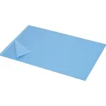 AS ONE Sticky Mat (Sole Clean®), 점착 매트 (솔클린®)
