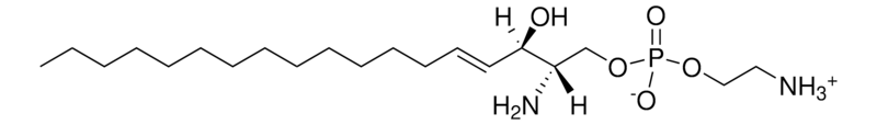 Merck Sphingosyl PE (d18:1)