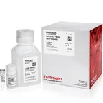 Thermo Fisher Scientific Cells-to-CT Bulk Lysis Reagents