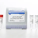 Intron pLUG-Prime® TA-cloning Vector Kit II