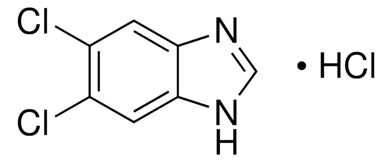 Merck 5,6-Dichloro-1H-benzimidazole hydrochloride (1:1)