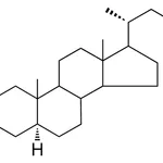 Merck 2-OXO-5-ALPHA-CHOLESTAN-3-BETA - 1 MG&