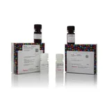 Thermo Fisher Scientific SuperSignal Western Blot Substrate Trial Pack, Atto & Pico PLUS