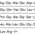 Merck PROINSULIN C-PEPTIDE (55-89) HUMAN, BIO&