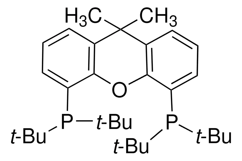 Merck 9,9-Dimethyl-4,5-bis(di-tert-butylphosphino)xanthene