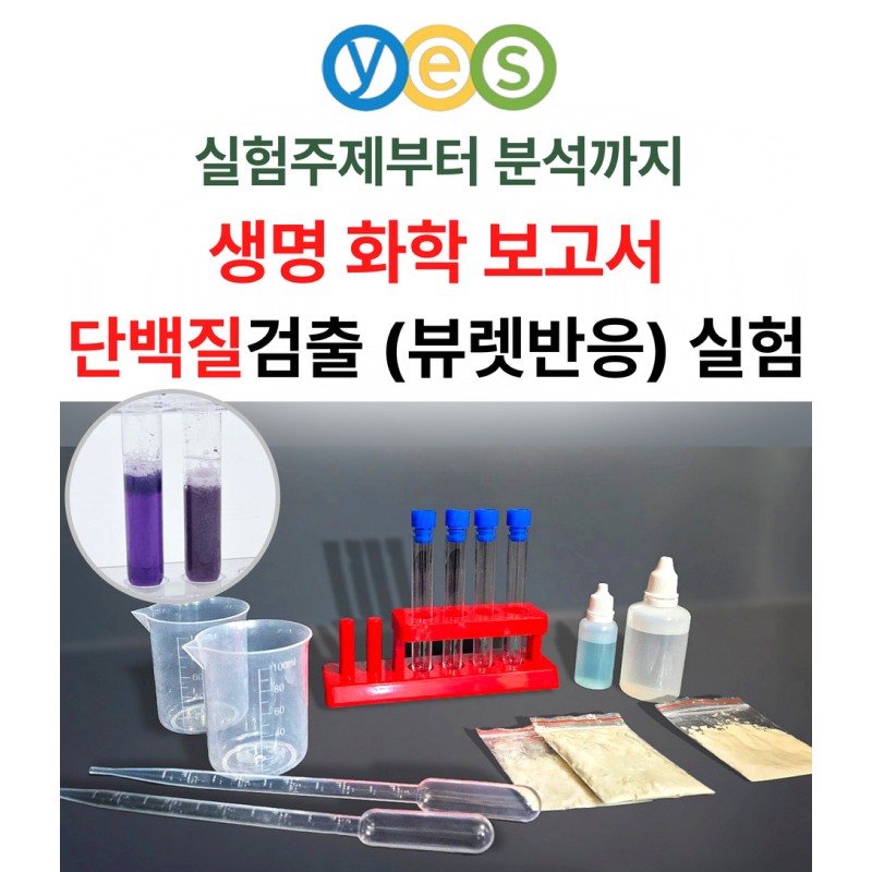 YES C3 단백질검출실험 (뷰렛반응실험)