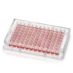 Thermo Fisher Scientific Nunc Microwell 96-Well Microplate with Nunclon Supra Surface