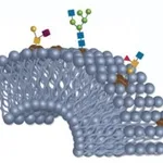 Merck BIOSHELL GLYCAN 2.7UM 10CM X 2.1MM ID &