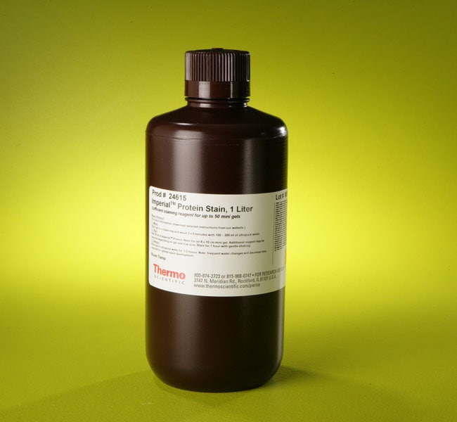 Thermo Fisher Scientific Imperial Protein Stain, 1 L
