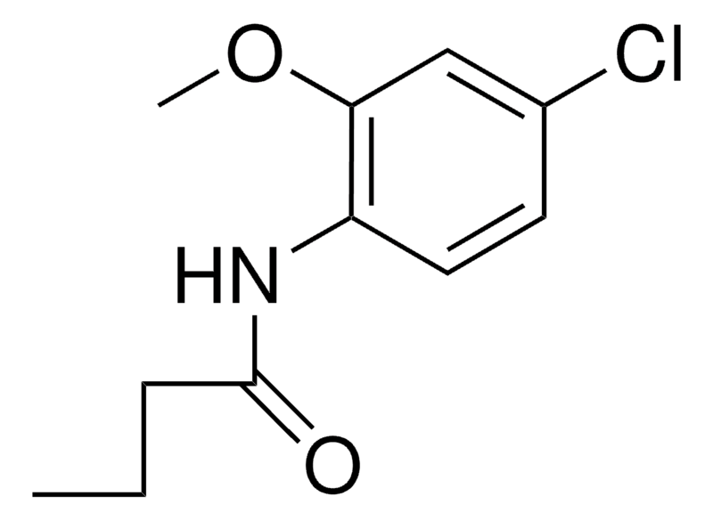 Merck 4'-CHLORO-2'-METHOXYBUTYRANILI - 50 MG&