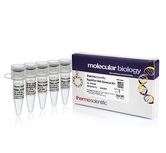 Thermo Fisher Scientific RapidOut DNA Removal Kit