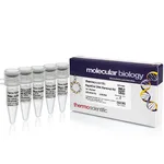 Thermo Fisher Scientific RapidOut DNA Removal Kit