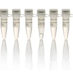 Thermo Fisher Scientific T7 RNA Polymerase, HC (200 U/μL)