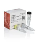 Thermo Fisher Scientific Gateway LR Clonase II Enzyme mix, 20 Reactions