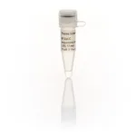 Thermo Fisher Scientific M13/pUC sequencing primer (-20), 17-mer
