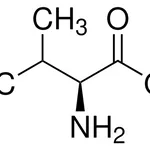 Merck L-VALINE BIOULTRA, >= 99.5&