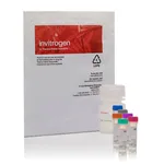 Thermo Fisher Scientific EnzChek Myeloperoxidase (MPO) Activity Assay Kit