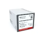 Thermo Fisher Scientific Ion Plus Fragment Library Adapters