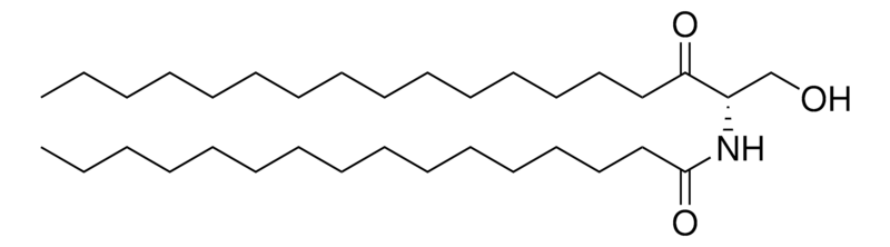 Merck C16 3-ketodihydroceramide
