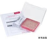 AS ONE SureSTARTVials with Quality Certificate, SureSTART 바이알(품질 증명서 부속)