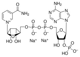 Merck B-NICOTINAMIDE ADENINE DINUCLEOTIDE PHO&