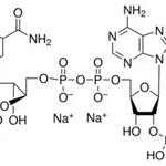 Merck B-NICOTINAMIDE ADENINE DINUCLEOTIDE PHO&
