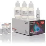 Thermo Fisher Scientific Alexa Fluor 488 Tyramide SuperBoost Kit, goat anti-mouse IgG, Sufficient for 150 Slides