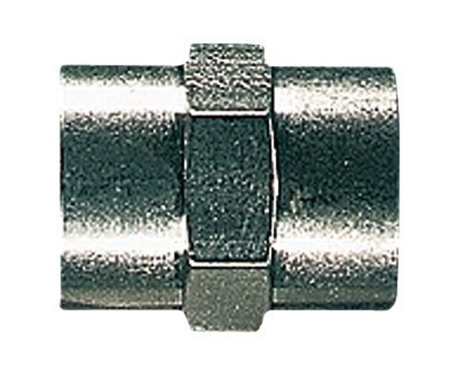 Thermo Fisher Scientific Female 316 SS Threaded Straight Coupling, 1/4 in.