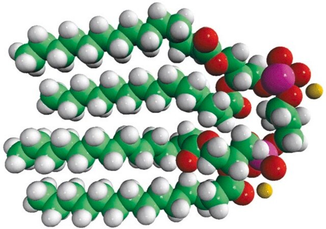 Merck 14:0 Cardiolipin (sodium salt)
