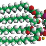 Merck 14:0 Cardiolipin (sodium salt)