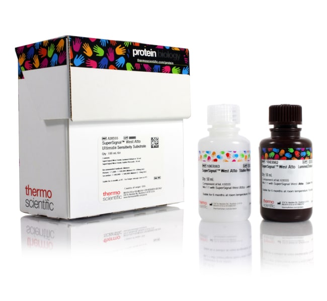 Thermo Fisher Scientific SuperSignal West Atto Ultimate Sensitivity Substrate, 20 mL