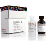 Thermo Fisher Scientific SuperSignal West Atto Ultimate Sensitivity Substrate, 20 mL