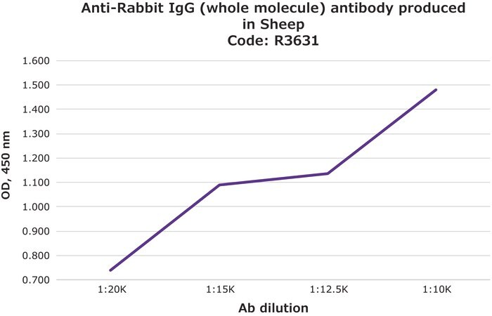 Merck Anti-Rabbit IgG (whole molecule) antibody produced in sheep