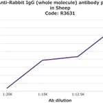 Merck Anti-Rabbit IgG (whole molecule) antibody produced in sheep