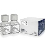 Thermo Fisher Scientific GeneAmp 10X PCR Buffer I, (2 x 75 mL)