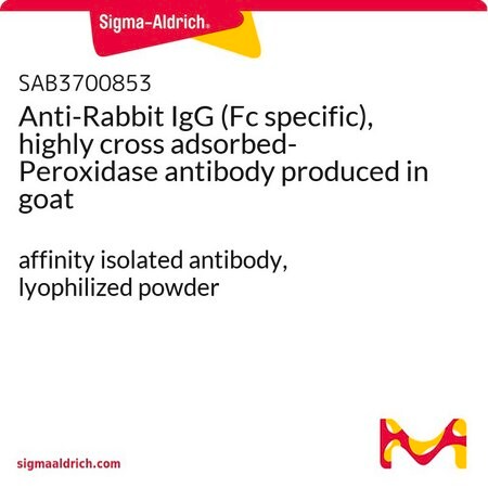 Merck Anti-Rabbit IgG (Fc specific), highly cross adsorbed-Peroxidase antibody produced in goat