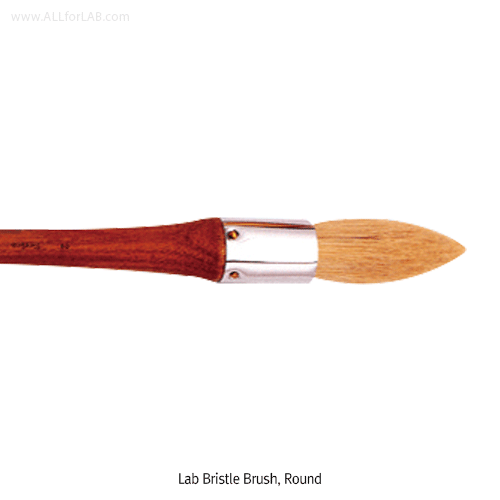 Lab Bristle Brush