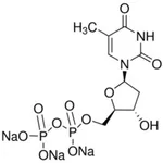 Merck THYMIDINE 5``-DIPHOSPHATE SODIUM