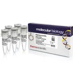 Thermo Fisher Scientific Dilution Buffer for Restriction Enzymes