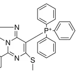 Merck (ME-SULFANYL-1-PH-BENZO(4,5)IM - 25 MG&