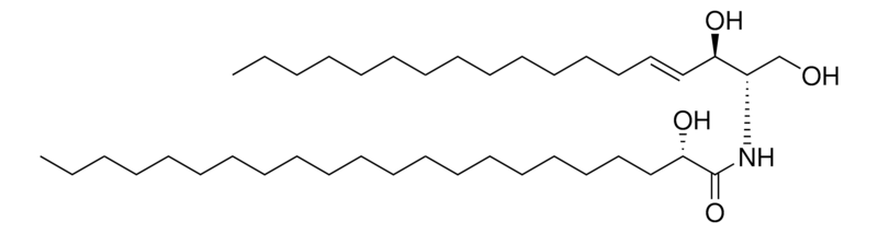 Merck 22:0(2S-OH) Ceramide