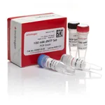 Thermo Fisher Scientific dNTP Set (100 mM), 4 x 250 μL