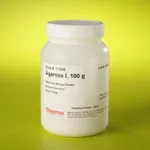 Thermo Fisher Scientific Agarose I (Molecular Biology Grade), 100 g
