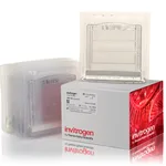 Thermo Fisher Scientific Novex TBE-Urea Gels, 10%, 12-well, 10 Gels/Box